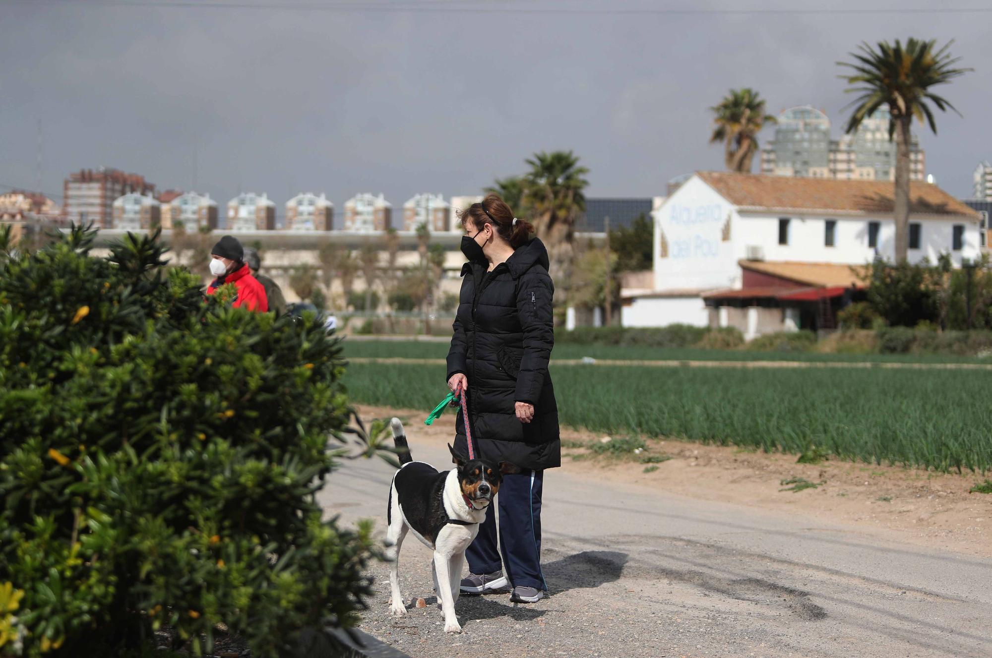 Los valencianos redescubren la huerta en los paseos de confinamiento
