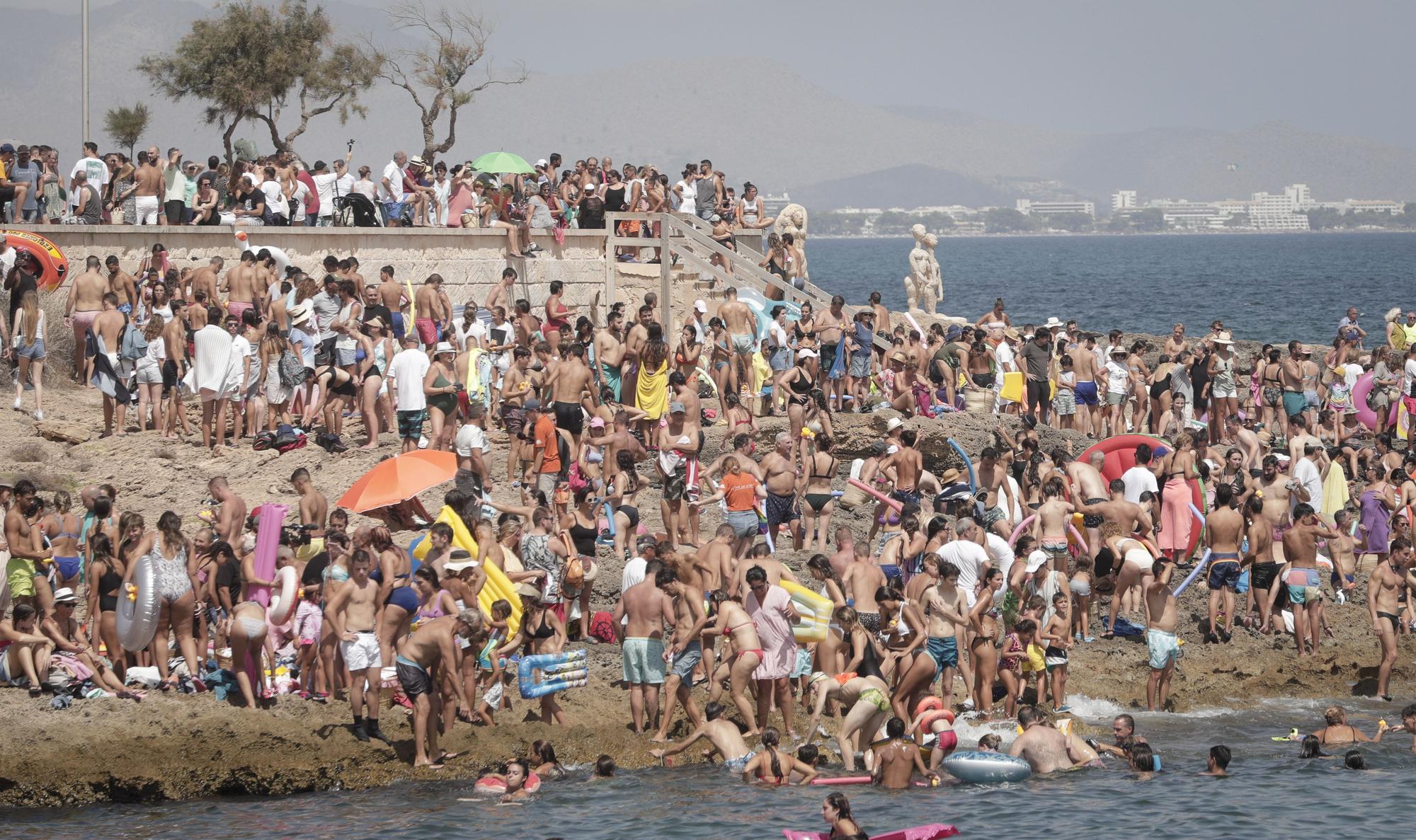 Al agua patos en Can Picafort