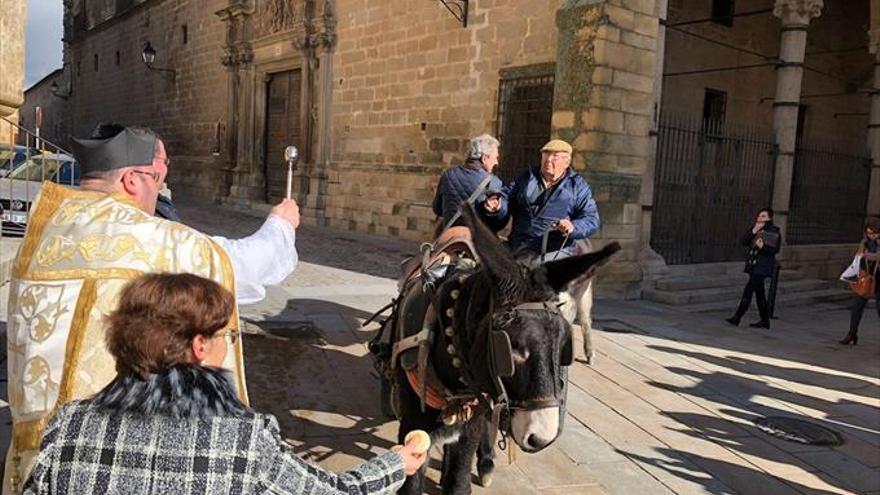 El refugio Turgalium celebra San Antón con unas migas solidarias