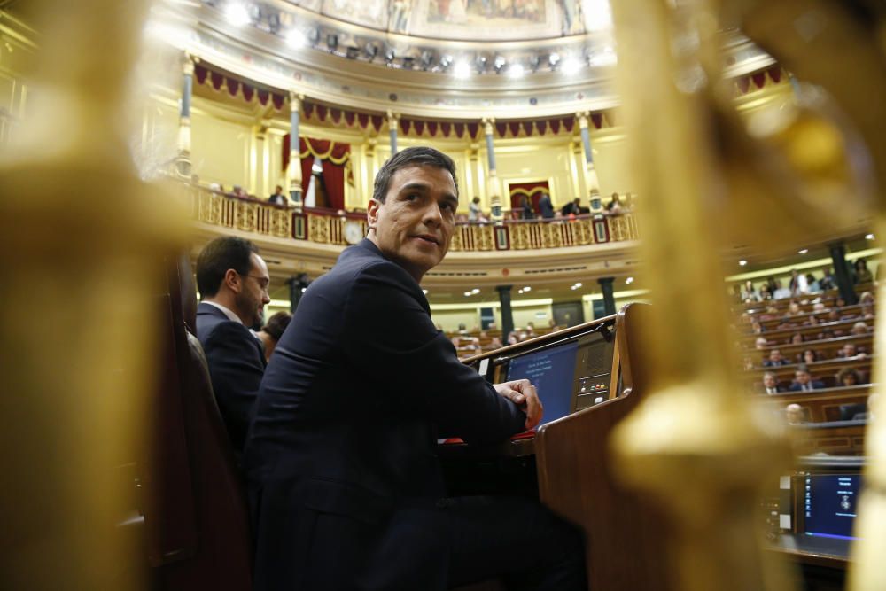 La investidura de Pedro Sánchez, en imágenes