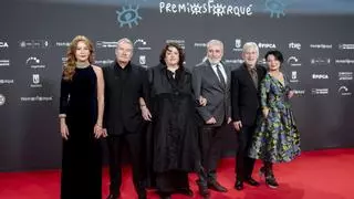 El 'aragonés' Gaizka Urresti se va sin galardón de unos Premios Forqué muy repartidos