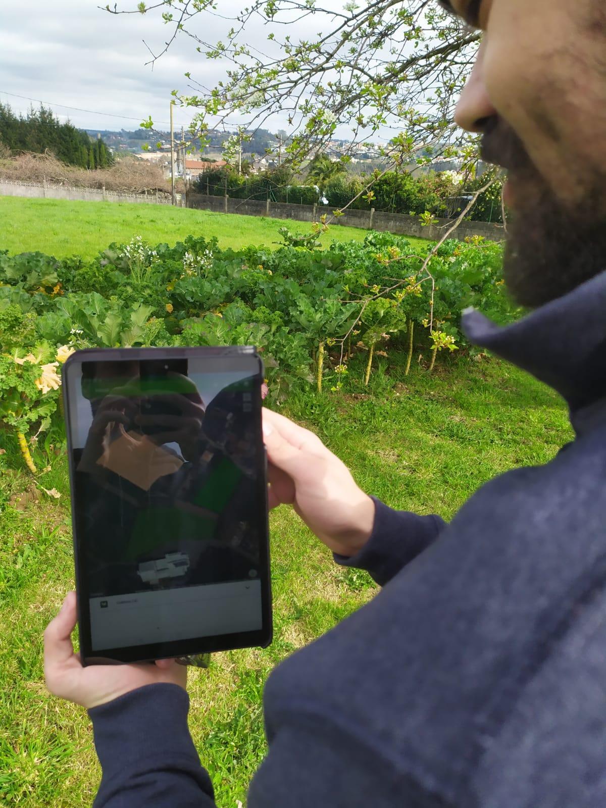 Seguimiento de un cultivo a través del móvil.