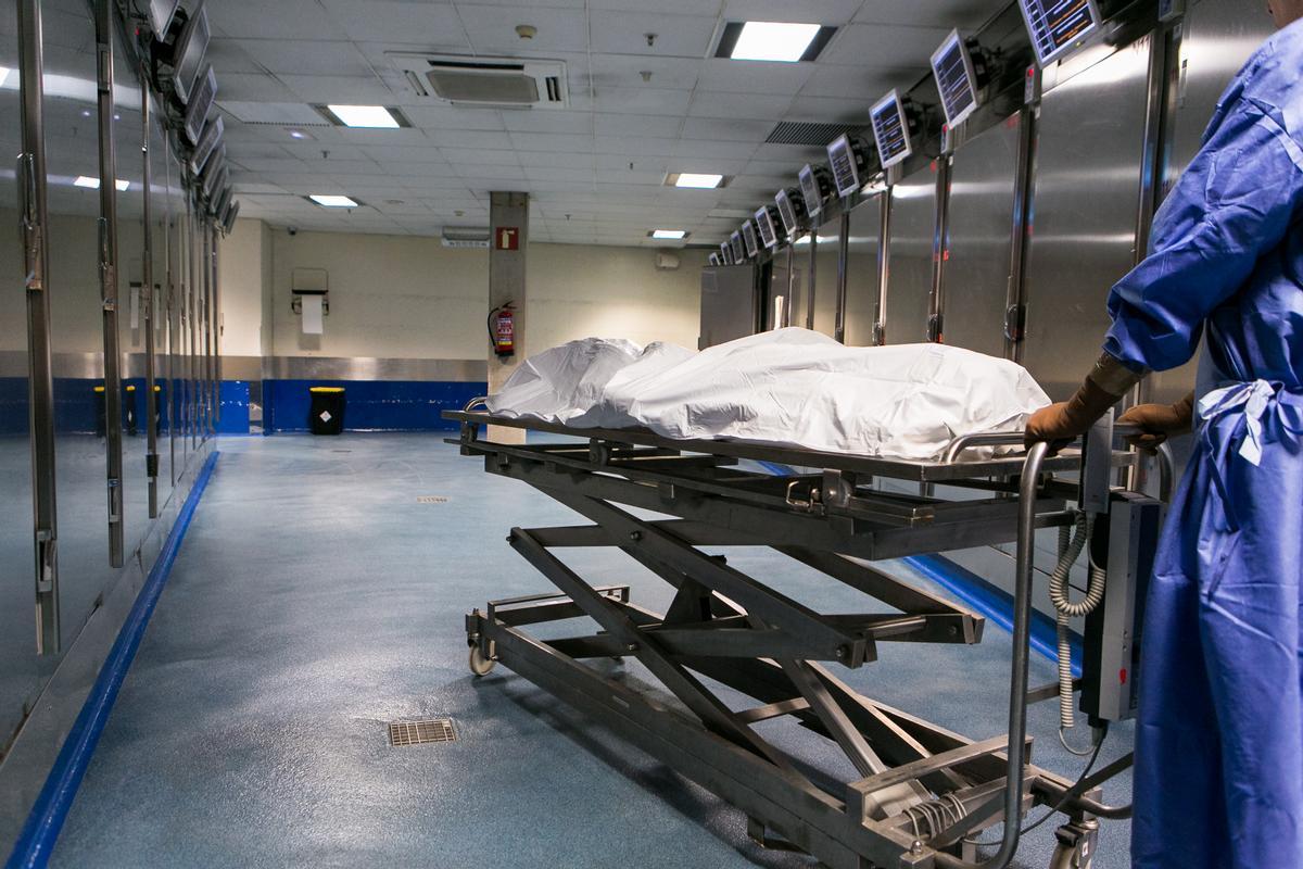 Un cadáver en la sala de neveras del Institut de Medicina Legal i Ciències Forenses de Catalunya.