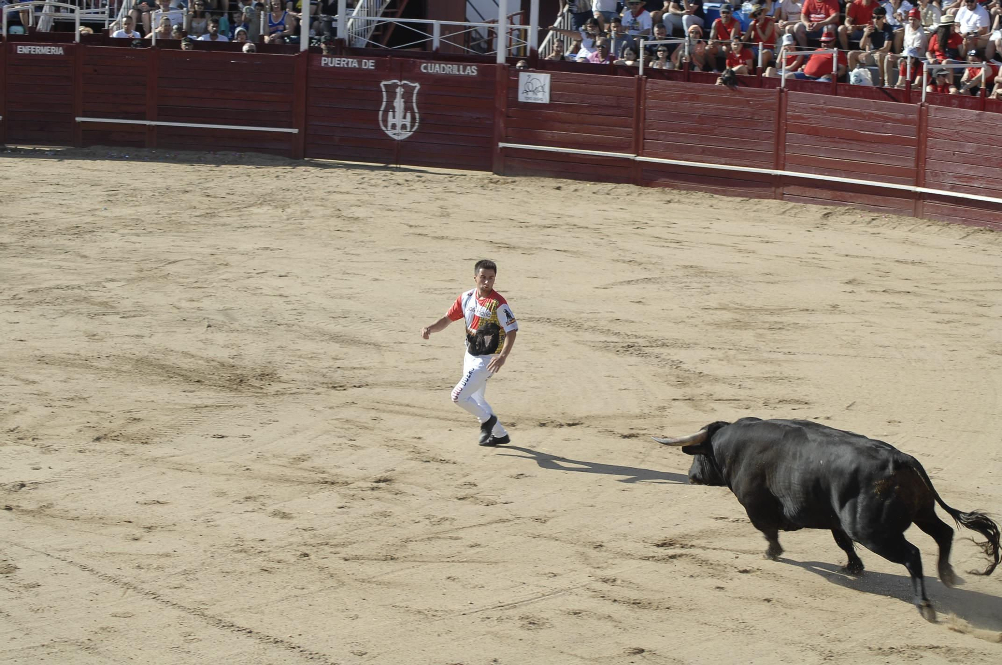 GALERÍA | Unos cuantos cortes de los arriesgados en Benavente