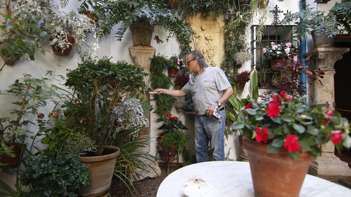 Los Patios de Otoño viven su segundo fin de semana de éxito