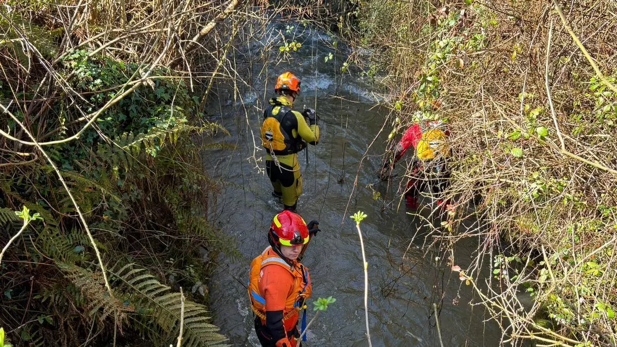 Falsa alarma en el Nalón: un testigo creyó ver un cuerpo flotando entre Olloniego y Riaño