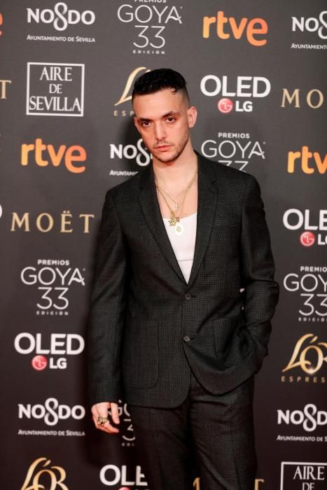 Premios Goya 2019