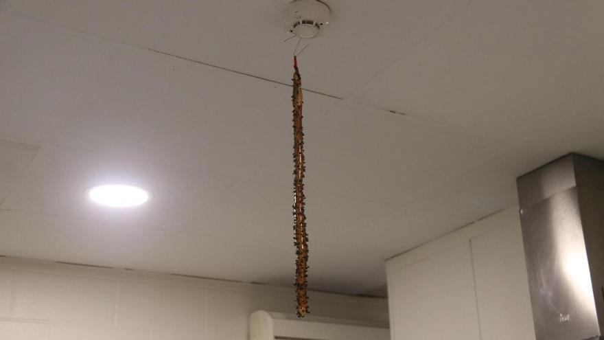 Desactiven l'emergència per la plaga de mosques a Hostalric després de la disminució de presència d'insectes