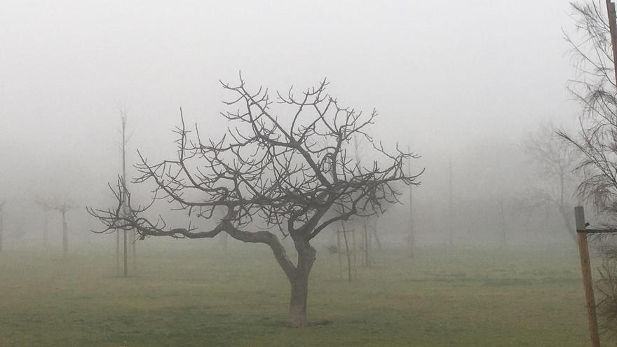 Nebel auf Mallorca