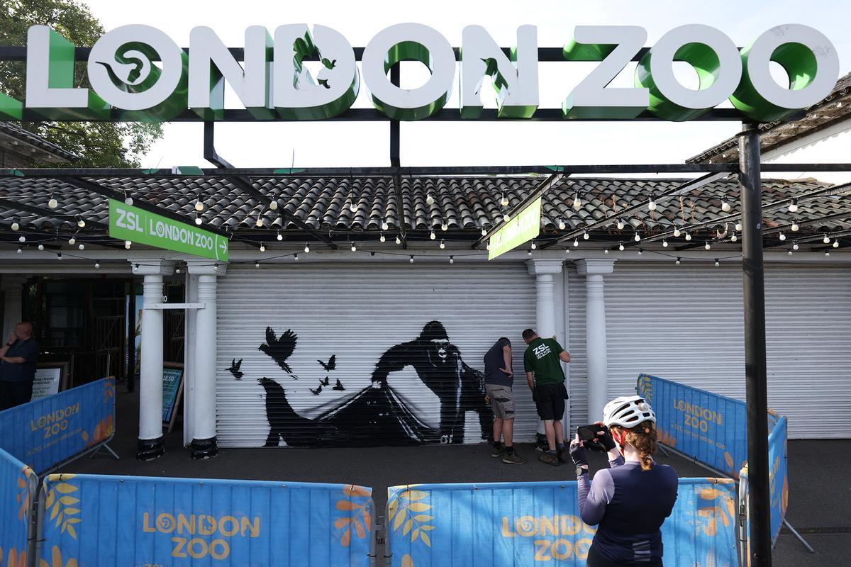 Un gorila, el noveno animal protagonista de la serie Zoo de Londres de Banksy