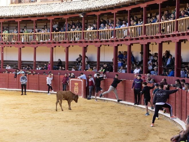 GALERÍA Tradicional Fuente de Vino, San Agustín 2026