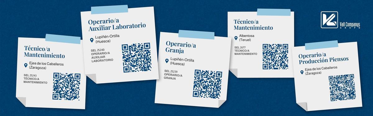 Grupo Vall Companys apuesta por construir equipos estables y acompañar el desarrollo profesional de las personas que forman parte de la organización.