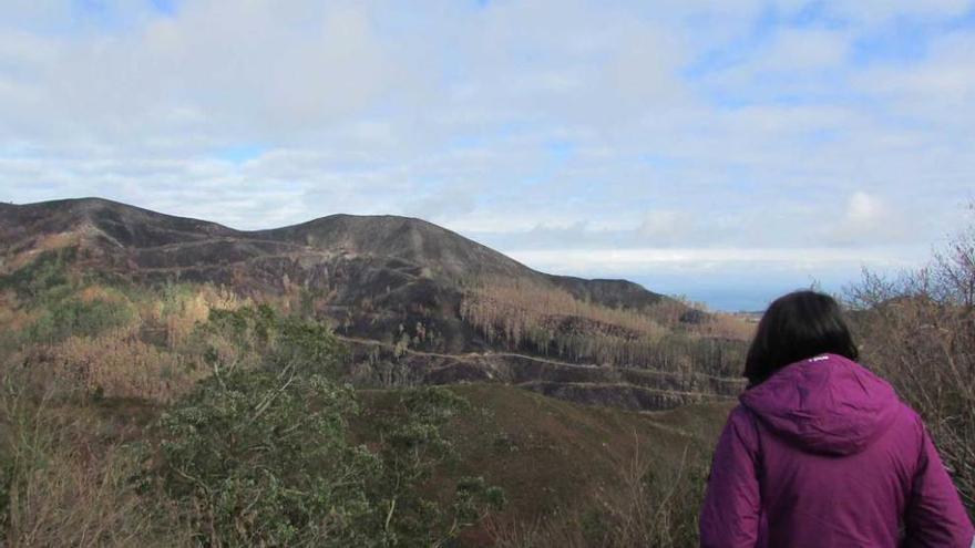 Ganaderos llaniscos se movilizan contra el acotamiento del monte Ríu Nueva