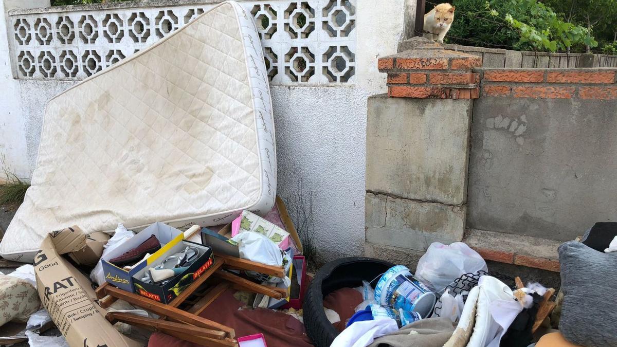 Un gato asoma por el muro ante montañas de residuos acumuladas fuera de los contenedores en una foto del miércoles. | LEVANTE-EMV