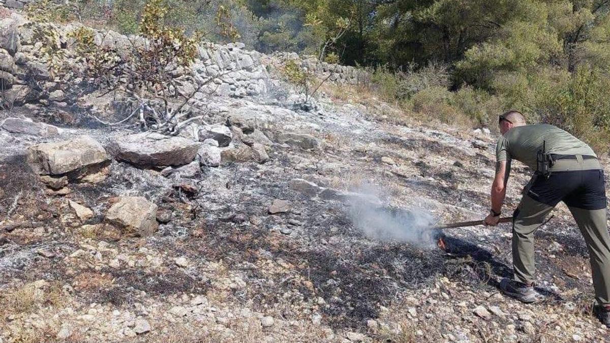 Un agente medioambiental actuando en la zona donde se produjo el incendio por la electroción de aves, sofocando una reproducción del fuego.