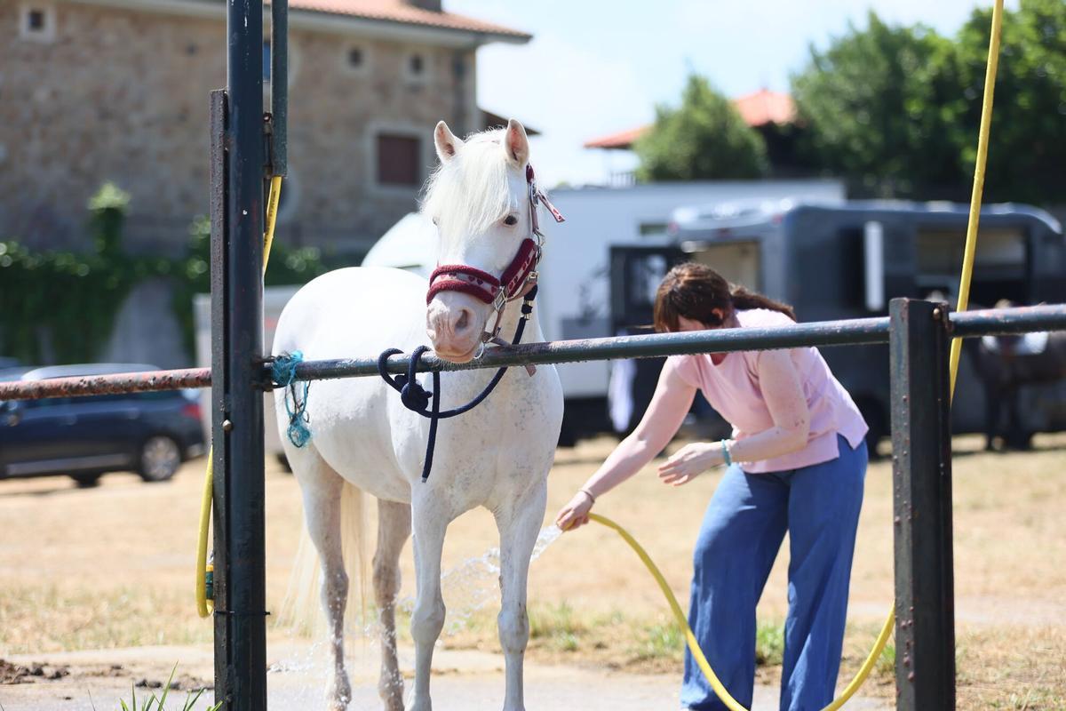 En imágenes: La primera jornada del Concurso Hípico de Luanco
