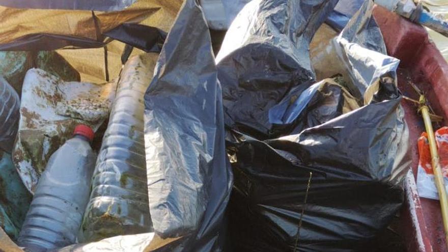 Los voluntarios retiran de l’Estany de Cullera cientos de kilos de basura