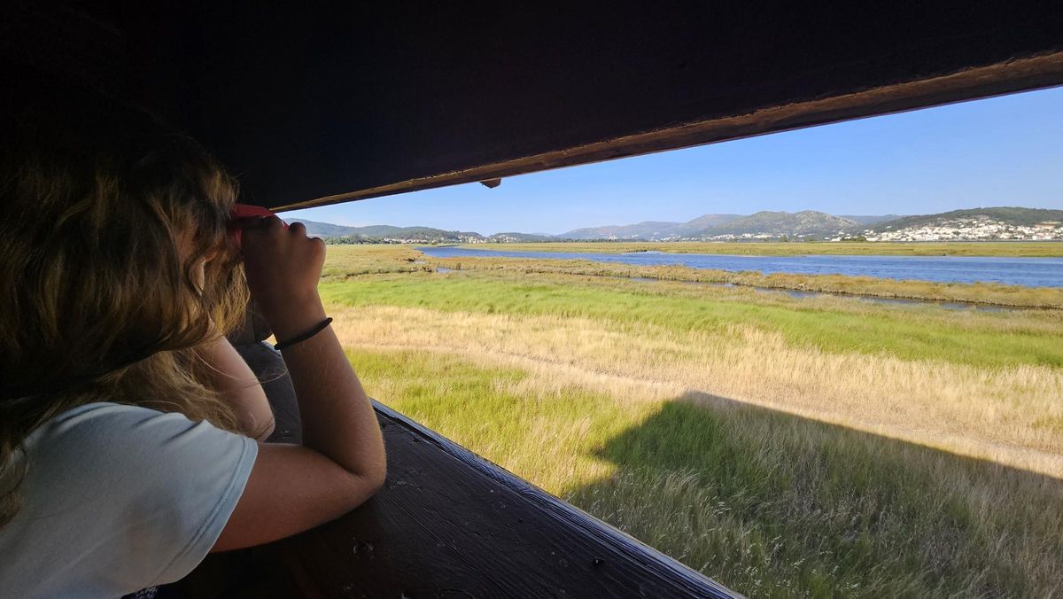Uno de los miradores de aves ubicados en el río Miño, en O Rosal.