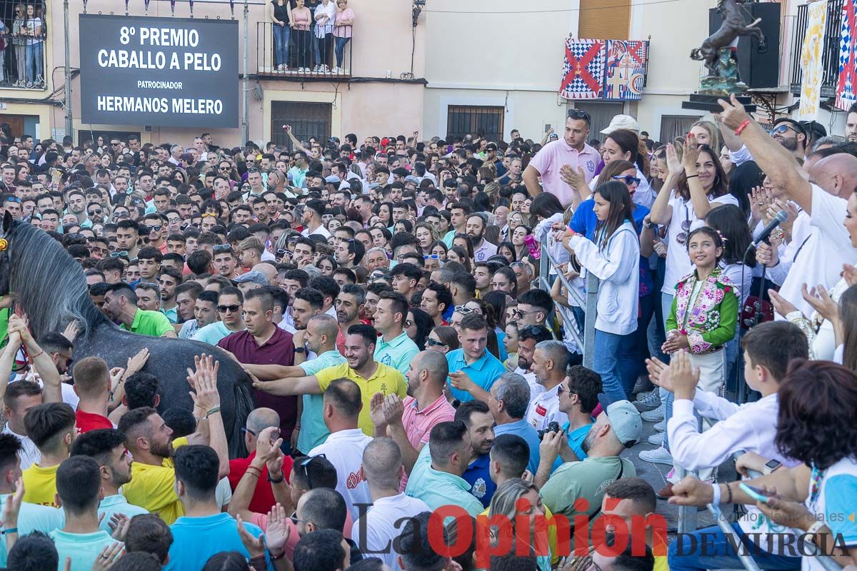 Entrega de premios del concurso morfológico de los Caballos del Vino de Caravaca