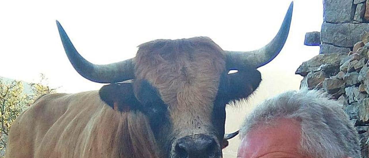 José Antonio Rodríguez, con su toro.