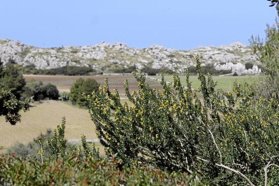 Einer der schönsten Winkel der Insel - das Tal und der Garten von Ariant - kann wieder bei geführten Rundgängen erkundet werden.