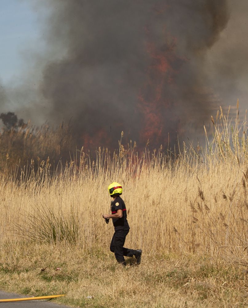 Aparatoso incendio en el delta del Palancia del Port de Sagunt.