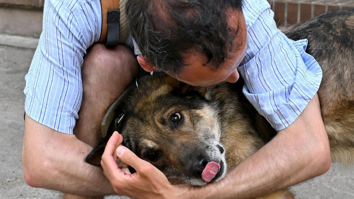 Yuriy Manko, un voluntario de 31 años, abraza a un perro en el exterior del refugio para animales levantado en Kiev.