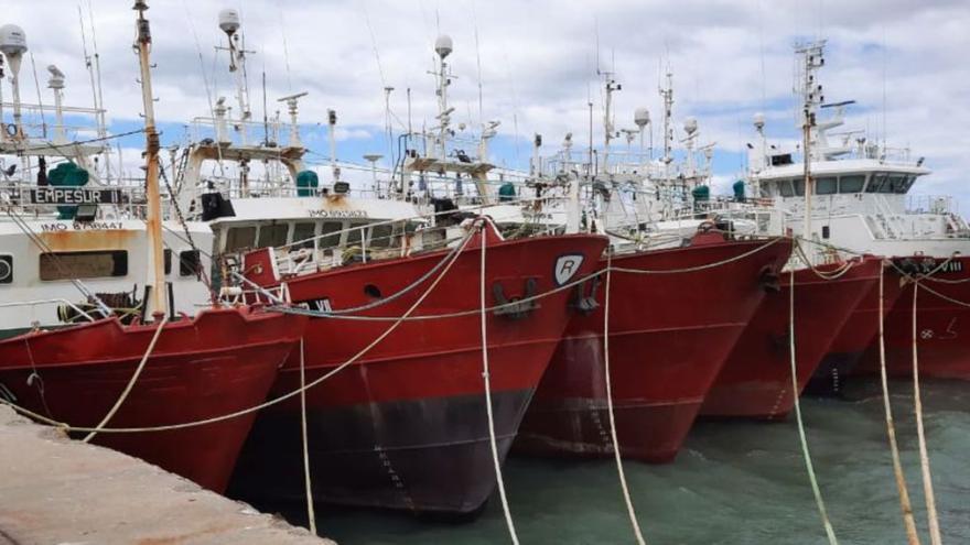 Barcos amarrados en el Puerto Deseado, en la Patagonia, en la provincia de Santa Cruz.  | // FDV