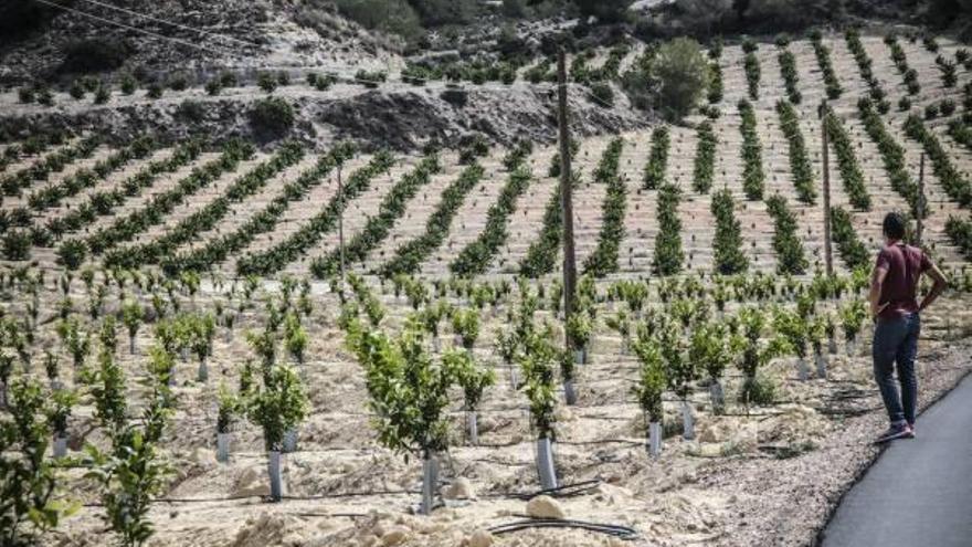 Ecologistas en Acción rechaza las 4.000 casas del PAU-5 por su cercanía a Sierra Escalona