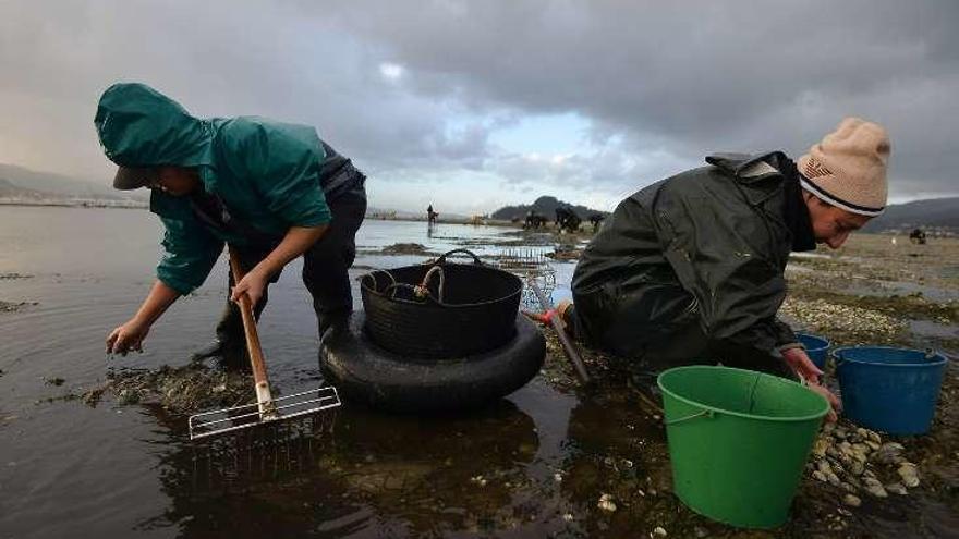 Mariscadores en la zona de Lourido. // Gustavo Santos