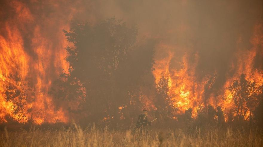 El fuego obliga a suspender el AVE Madrid-Galicia entre Sanabria y Zamora