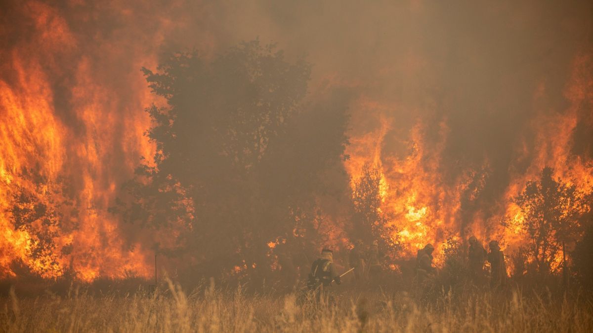 Incendio en Zamora.