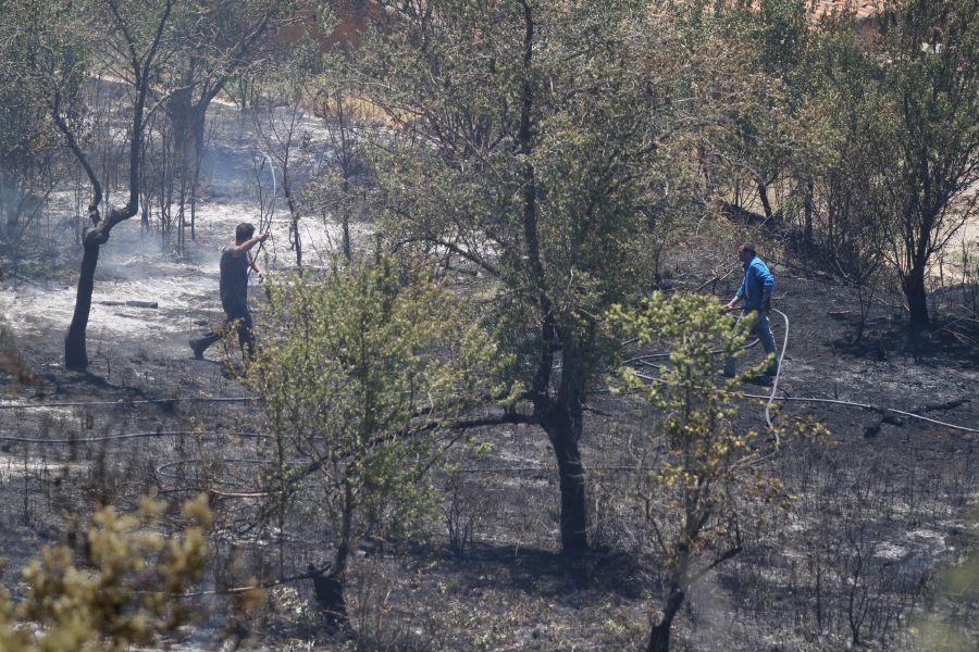 Fuego en las bodegas de Valcabadino