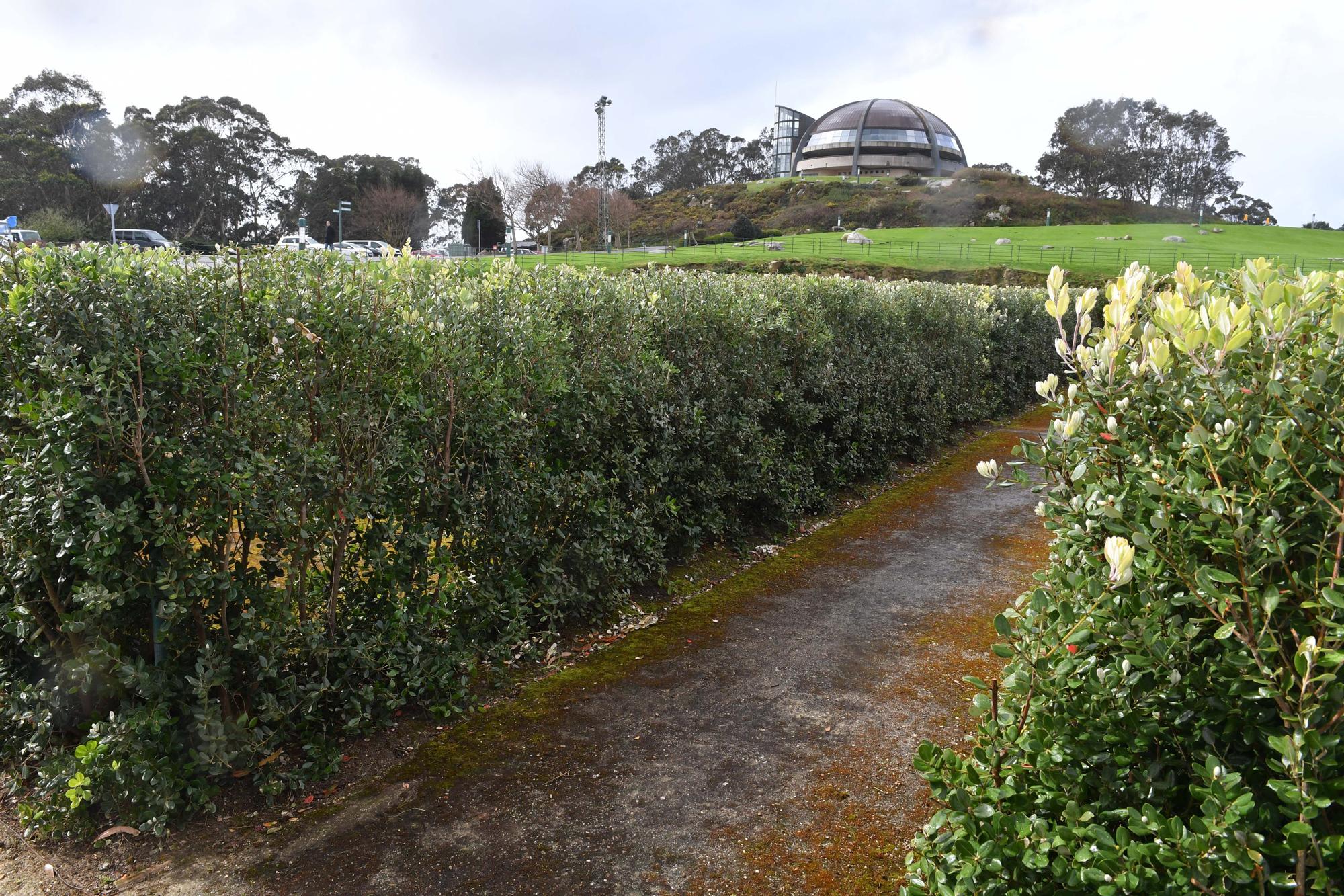 Así luce el renovado laberinto del monte de San Pedro en A Coruña