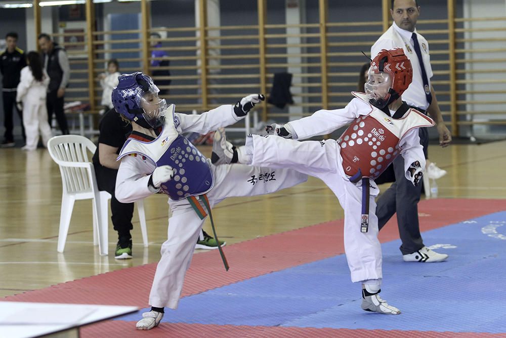 IV Open de Ibiza de taekwondo