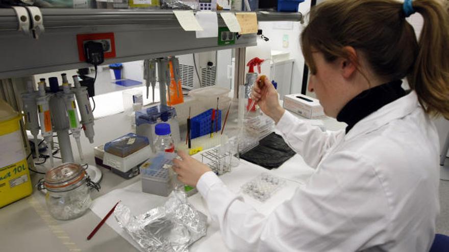 Un ainvestigadora, en un laboratorio del centro Príncipe Felipe.