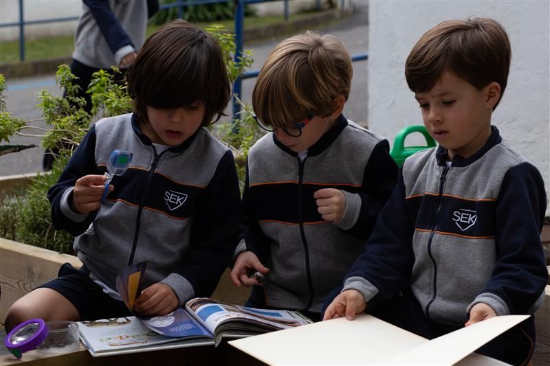 SEK International  School Atlántico.