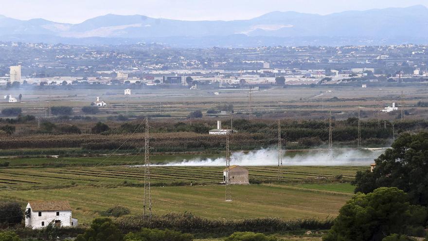 Medio Ambiente autoriza las quemas de la paja del arroz en l&#039;Albufera