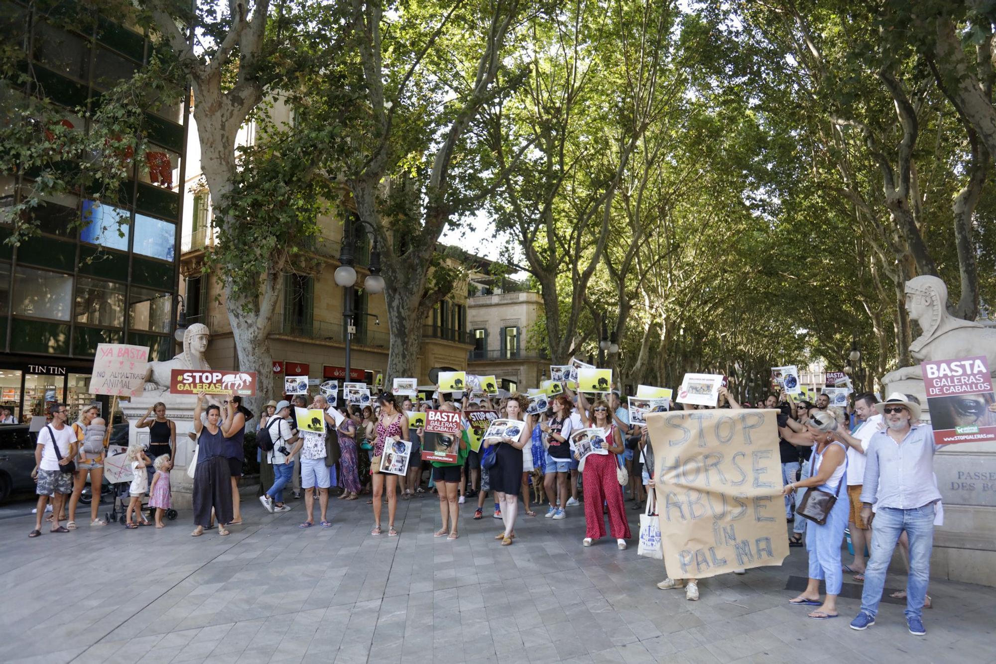 Cientos de personas exigen en Palma "el fin de la explotación de los caballos de galeras"