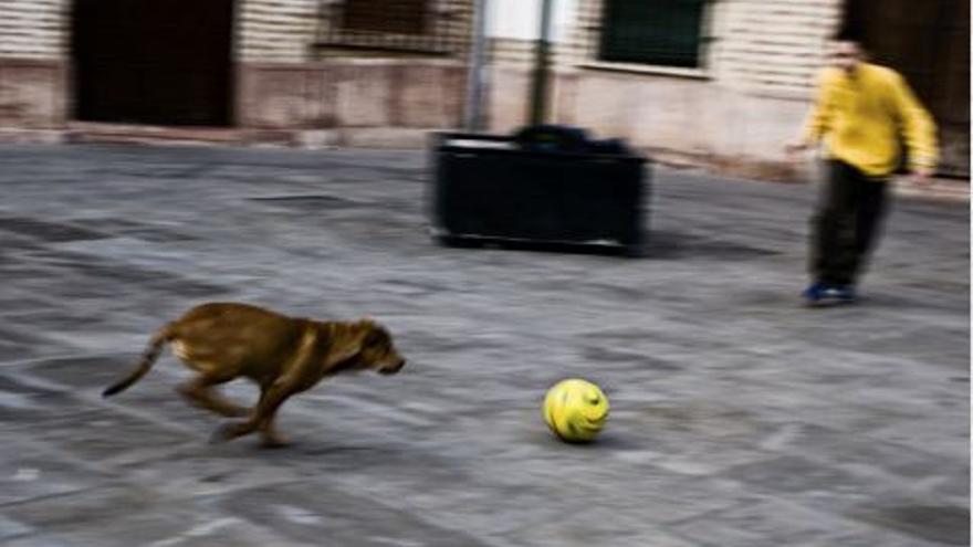 Imágenes para resistir y ganar