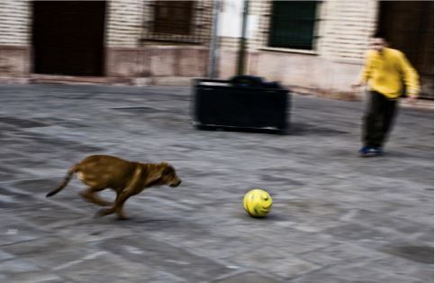 Imágenes para resistir y ganar