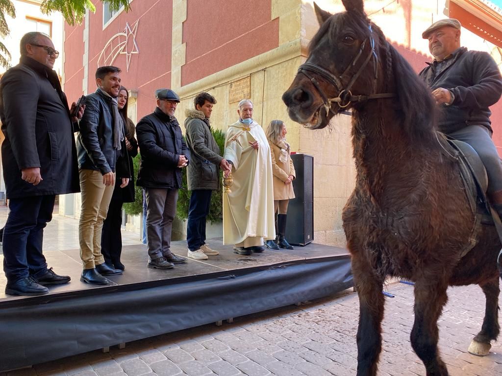 El Campello recupera plenamente la fiesta de Sant Antoni del Porquet con una alta participación popular