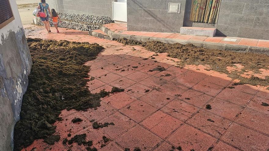 Piedras, seba y arena: así dejó la pleamar a un barrio costero de Gran Canaria
