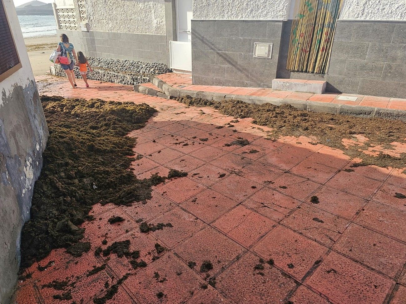 Limpieza intensiva en Ojos de Garza tras la acumulación de piedras, ceba y arena por la subida de la marea