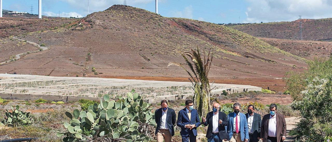 Arinaga acogerá el parque eólico del tren y uno agropecuario en el polígono  - La Provincia