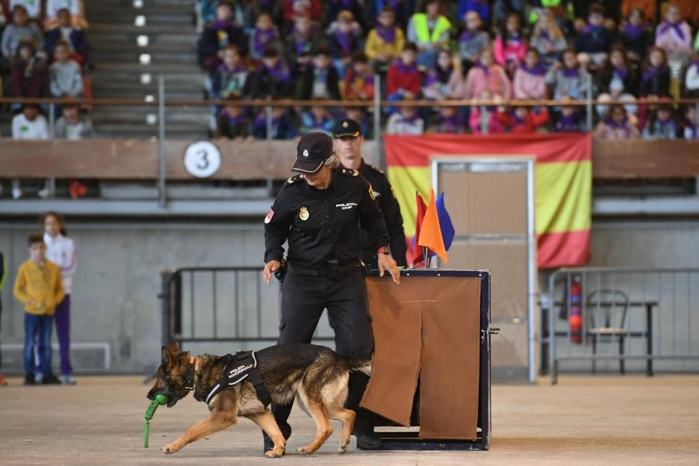 Exhibición de unidades especiales de la PN