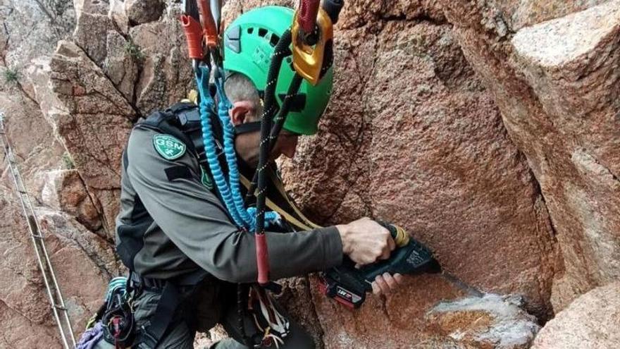 Les imatges de la investigació dels Agents Rurals sobre el sabotatge a la via ferrada de Sant Feliu per impedir la nidificació de corbs marins