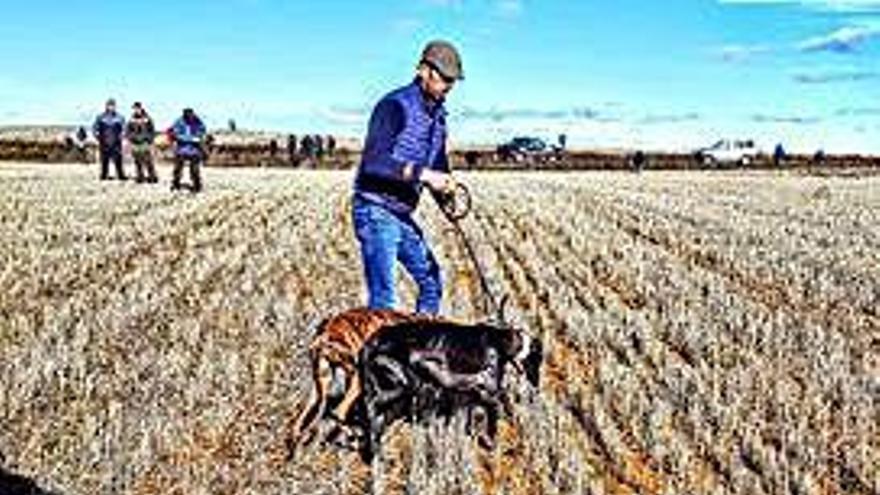 El traillero inicia la marcha con los perros.