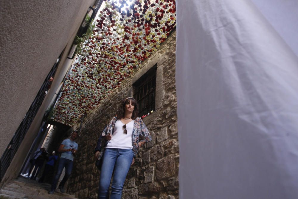 Girona, Temps de Flors - Dissabte 12 de maig