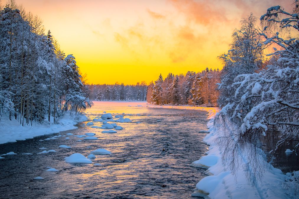 Un río avanza entre bosques nevados en el corazón de Finlandia, un paisaje donde el silencio y la naturaleza marcan el ritmo del viaje.